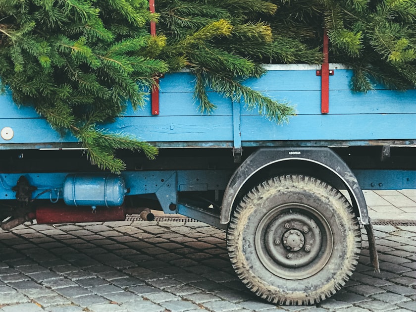 Why Choose Titan Hauling Co.?